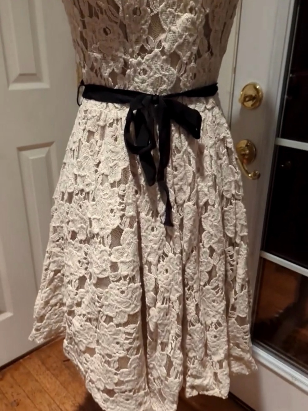 Anthropologie Tracie Reese Beige Lace Fit-and-Flare Dress with Black Sash
